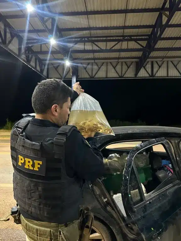 2c7d47b2826d3e5933fc9db90604a927 (1)