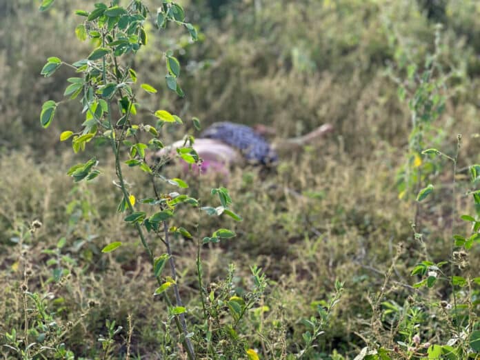 corpo-do-jovem-foi-encontrado-ao-lado-do-poste