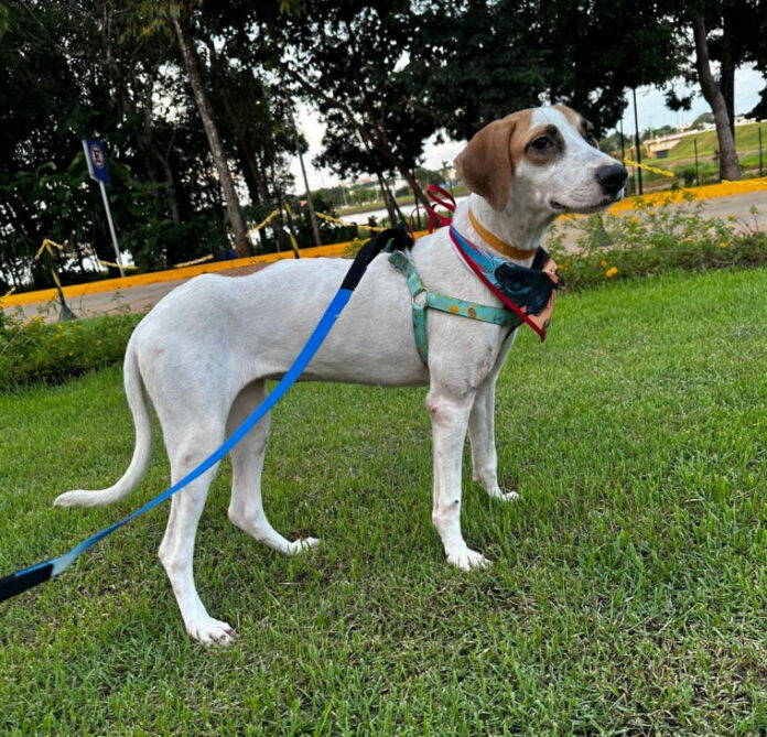 f1775419f20fb7b15b4ae9d6e5477b3f