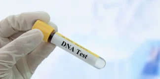 Mutirão do DNA do TJTO Garante Exames Gratuitos de Paternidade para Famílias de Araguaína e Região