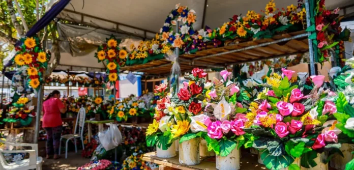 whatsappimage20241010at11.25.41